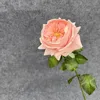 แชมเปญ