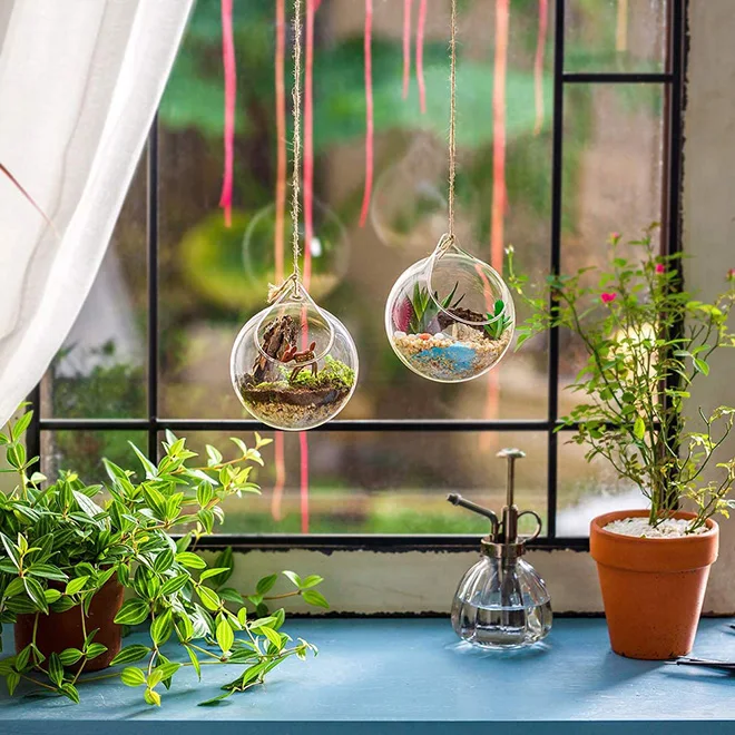 Dropshiping Hanging Plants Glass Terrarium Container Air Plant Holder  Succulents Globe Glass Planter Terrariums