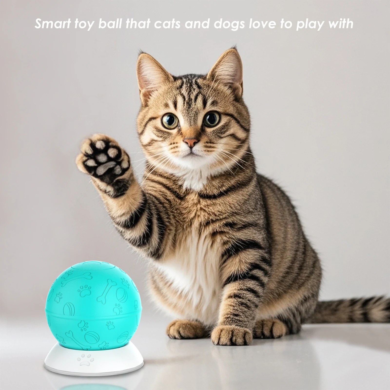 Robust Self-Rolling Plastic Ball Toy Fashionable Interactive Pet Sex Toy for Cat and Dog Play