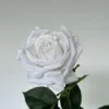 สีขาว