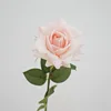 rosa chiaro