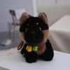 Shiba Inu
