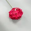 Rose Madder