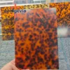 Tortoise Shell-DM-007