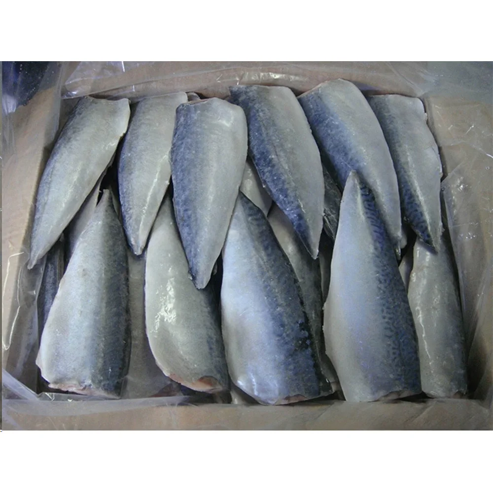 Frozen Fish Mackerel Fillets Pbi Frozen Mackerel Fillet Frozen Pacific Mackerel Fillet