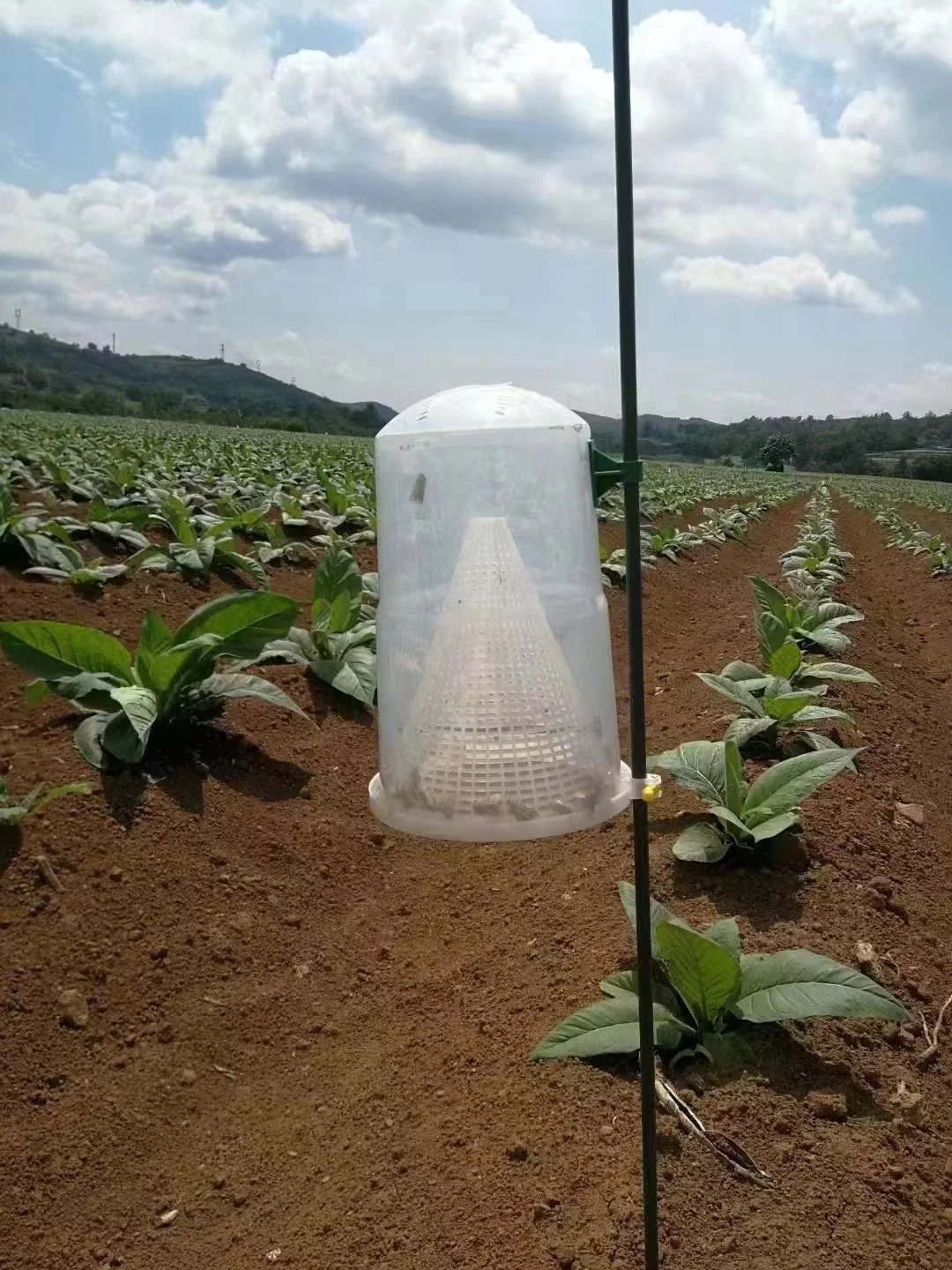 New Upgrade Effective Pheromone Moth Traps Hot Sale From Factory