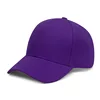 สีม่วง