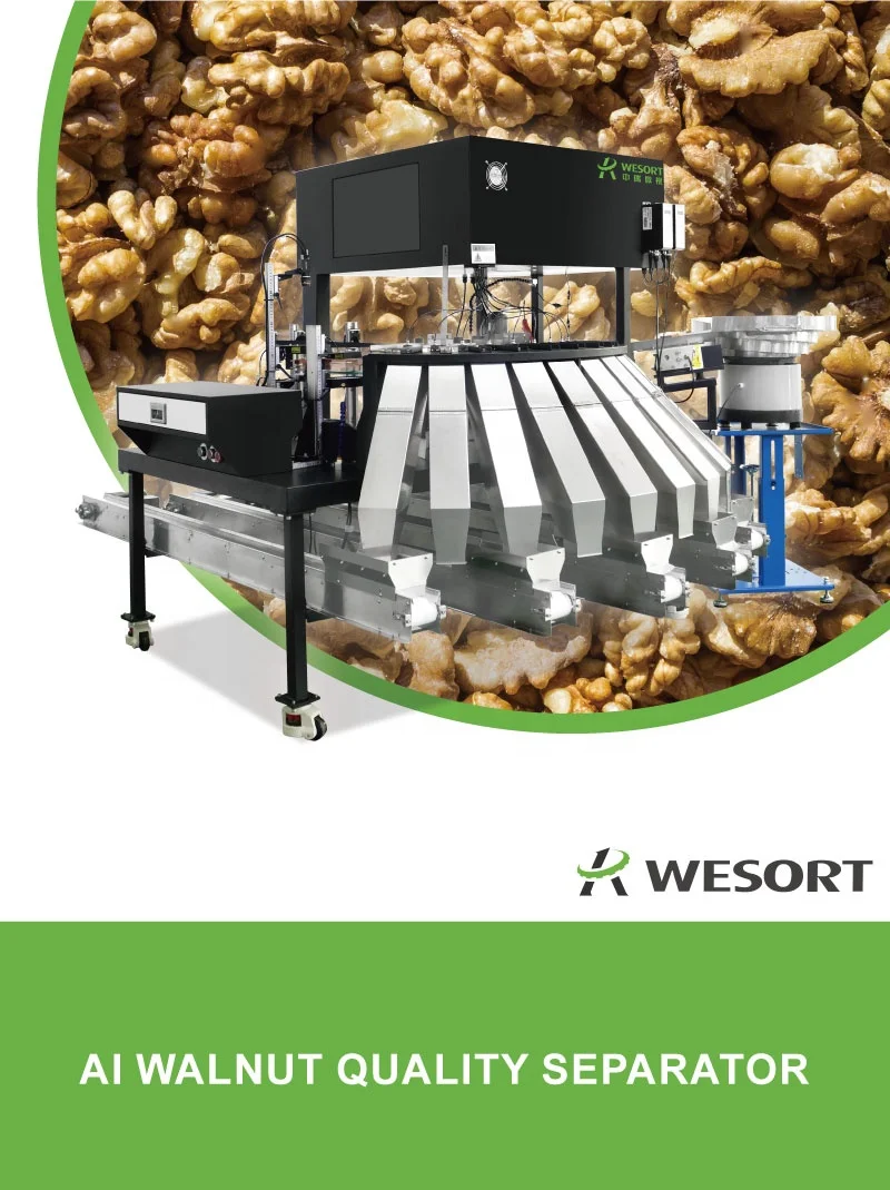 Manufacturer Cheapest Walnut Inshell Paper Wallnut Color Sorter Sorting Machine