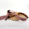 Correa y collar 3