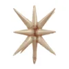 Caqui