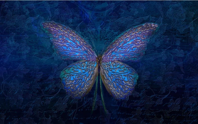 Светящиеся бабочки. Бабочка фиолетовая. Magic butterfly. Сиреневые бабочки. Magic butterfly.