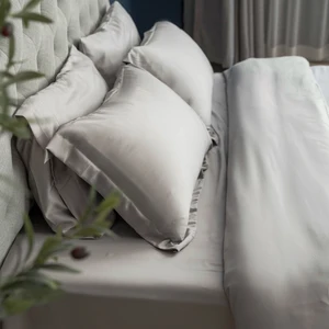 New Arrival Modern Tencel Bedding Sheet Sets 100% Natural tencel Fiber Bedding Set