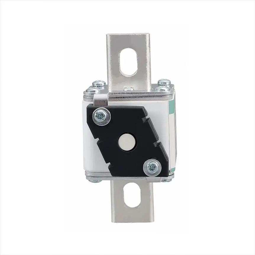 170H0069 MICROSWITCH K1 2A 250V UR Bussmann