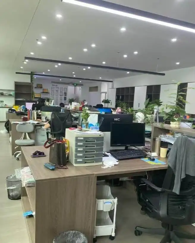 Shenzhen Ruijie Technology Co., Ltd. 2