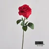 Enlarged flower head-red