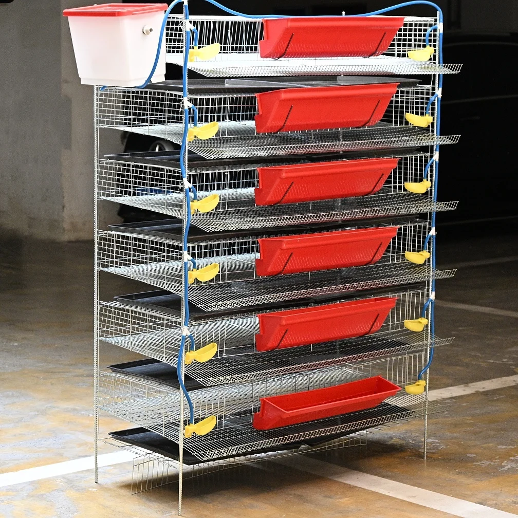 Poultry Quail Layer Cages for Quail Birds Farming Cage for Quail Hens for Egg Production