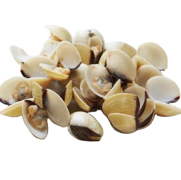 最优质的seaco冷冻整只白蛤蜊40 60从越南 Buy 蛤蜊 白蛤蜊 冷冻蛤蜊product On Alibaba Com