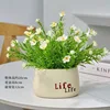 Bassin en plastique White Life avec gypsophile
