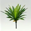 52cm, 60cm, all green leaves