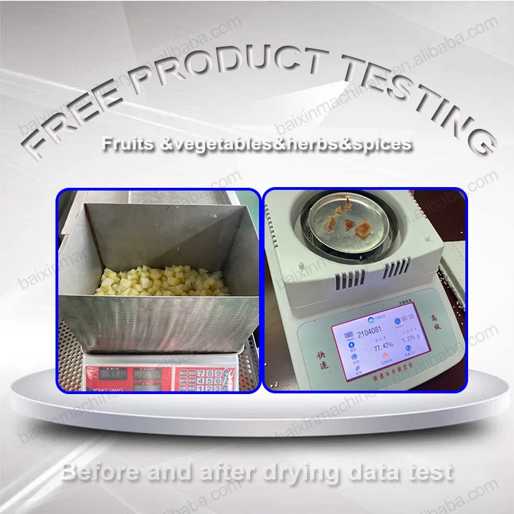 Ginger Washing Chopping Processing Machine 2tonshr Ginger Slice Drying Equipment