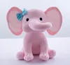 Rose avec oreille blanche