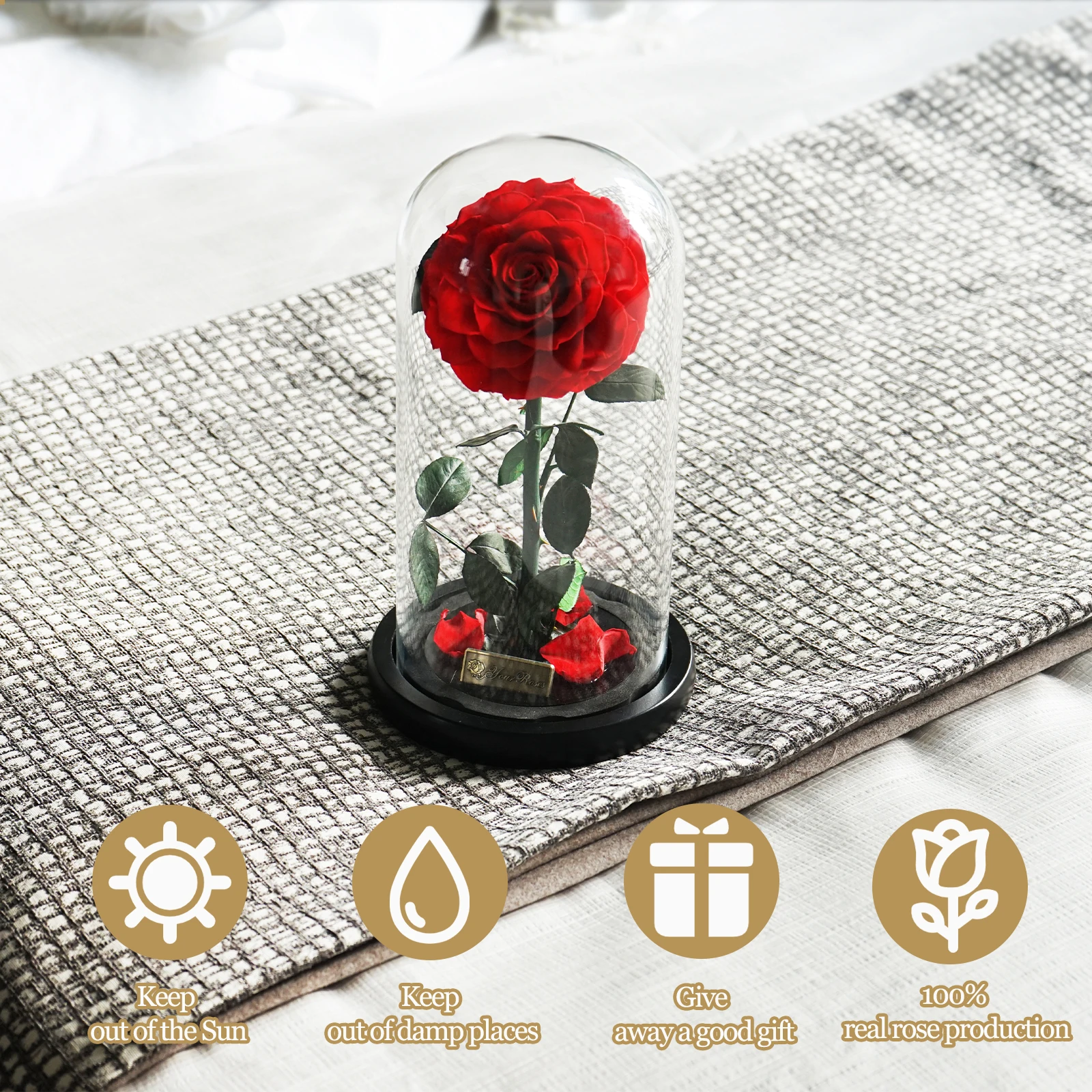 Wholesale Valentine Day Gifts Preserved Rose In Glass Gift Box