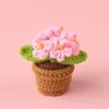 Pink -5 head forget-me-not potted plant mini wool basin