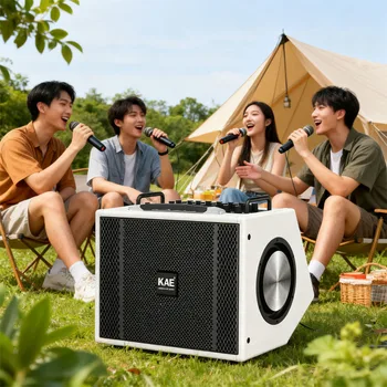 Professional Active Karaoke Mixer Wireless Microphone System 3 Way Pa Outdoor Audio Sound Equipment for DJ Wedding Singing Party