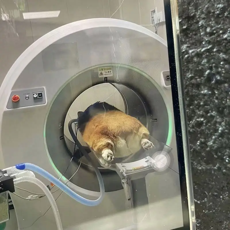 Hospital Digital Radiography Computed Tomography Veterinary Pet Medical  CT Scan Machine