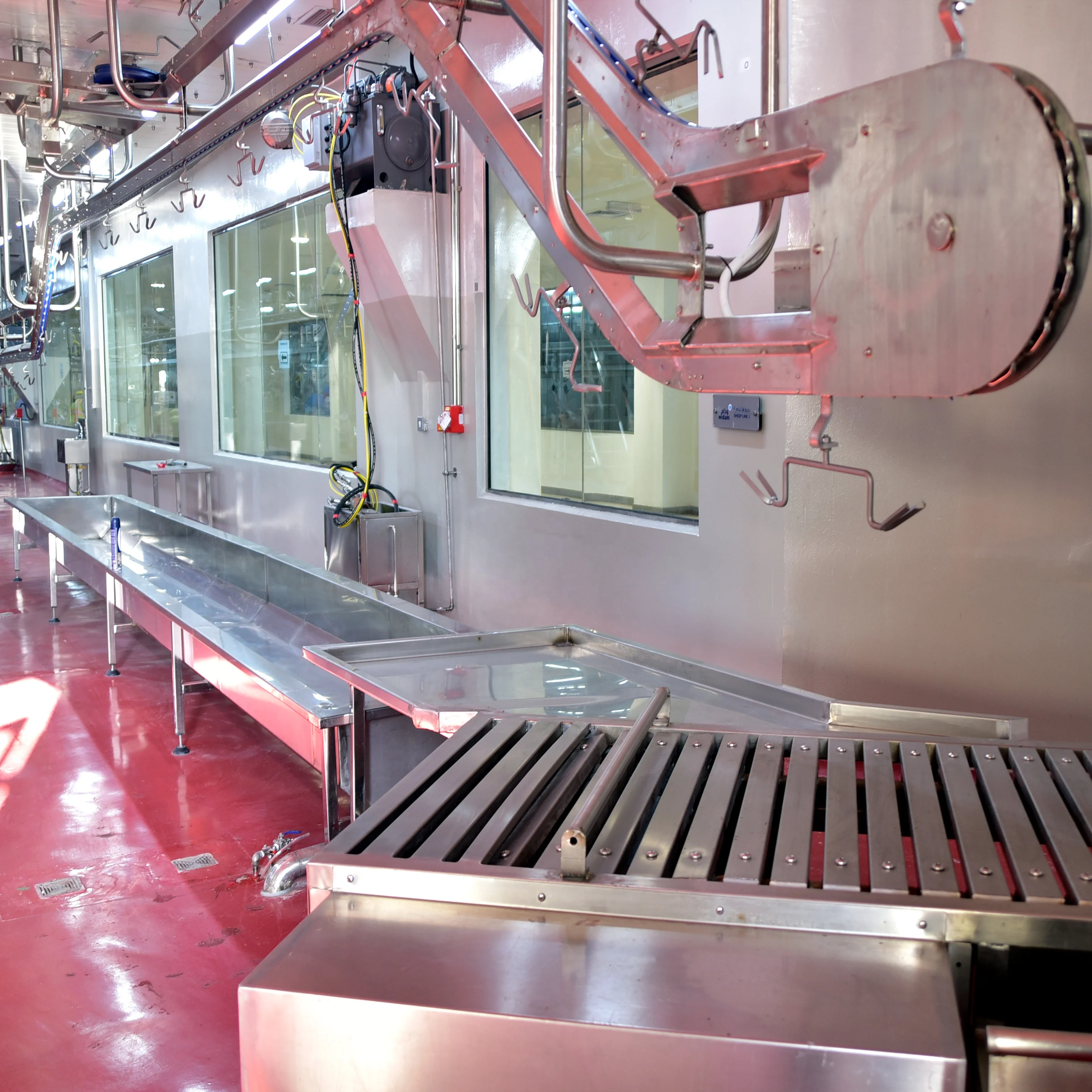 High efficiency lamb slaughtering plant machine lamb slaughtering process