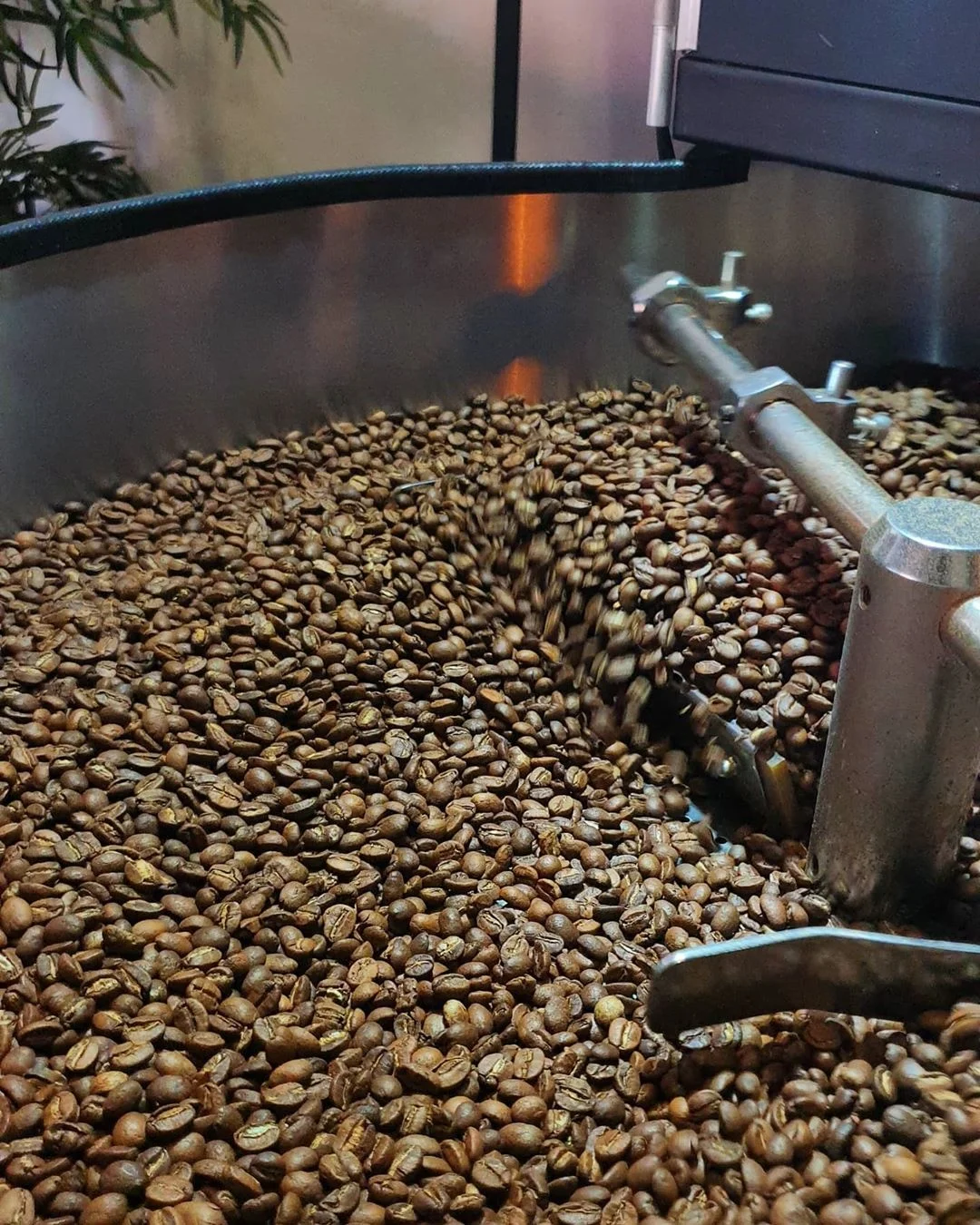 High quality arabica roasted coffee beans