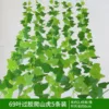 5 Virginia creeper leaves with 69 leaves and Glue