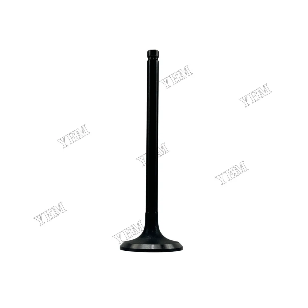Intake Valve Fit for Mitsubishi 4D56 Engine 4