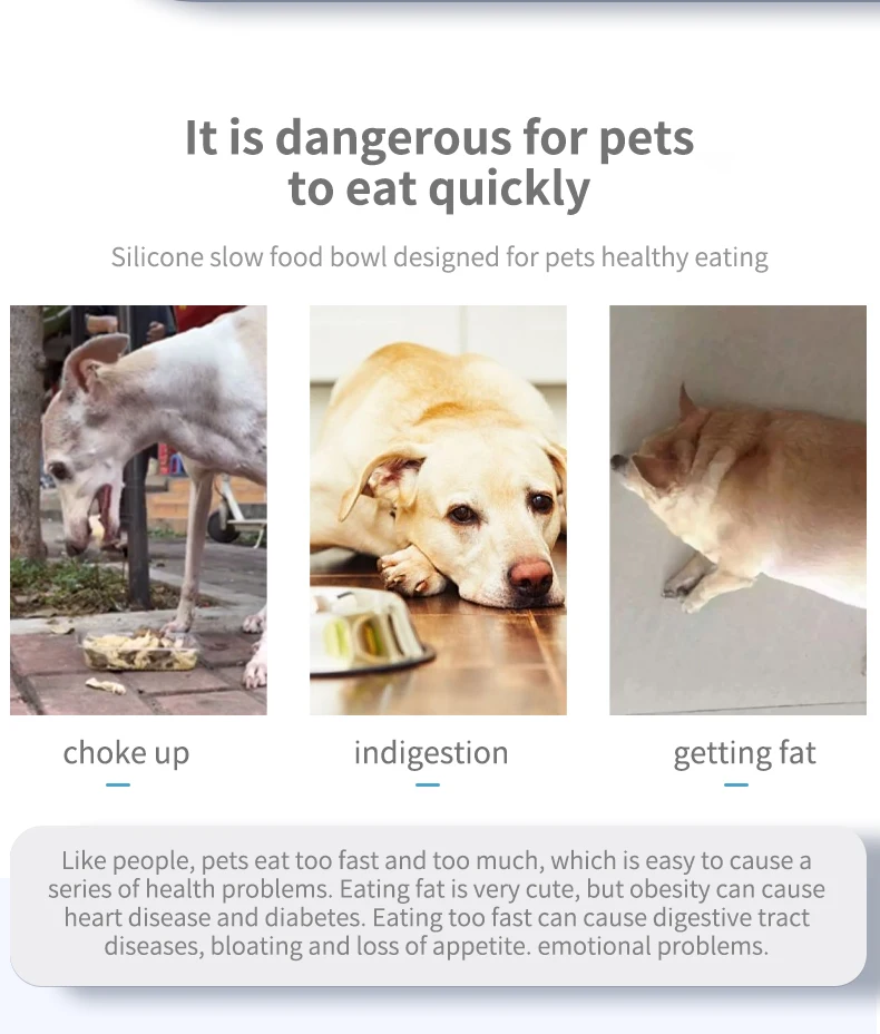 High Quality TPR Pet Bowl Fun Weight Loss Eating Anti-Choke Soft Wave Slow Feeder Bowl manufacture