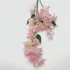 Rosa4