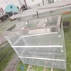 transparent