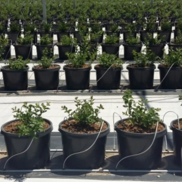 Nested Planting Pots Multiple Capacity Planting Buckets Blueberry Seed Growing Containers