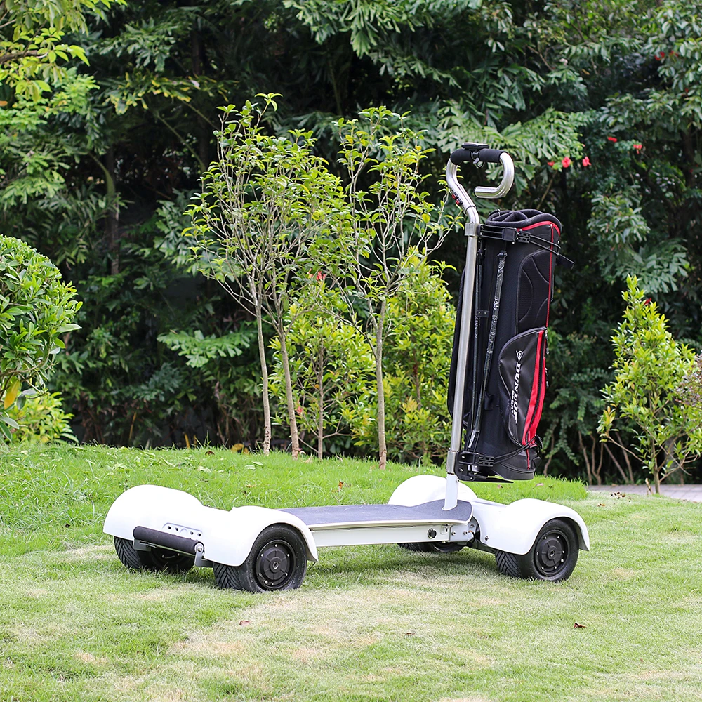 ブラシレス1000w60veスクーターゴルフスケートボードBoleRider