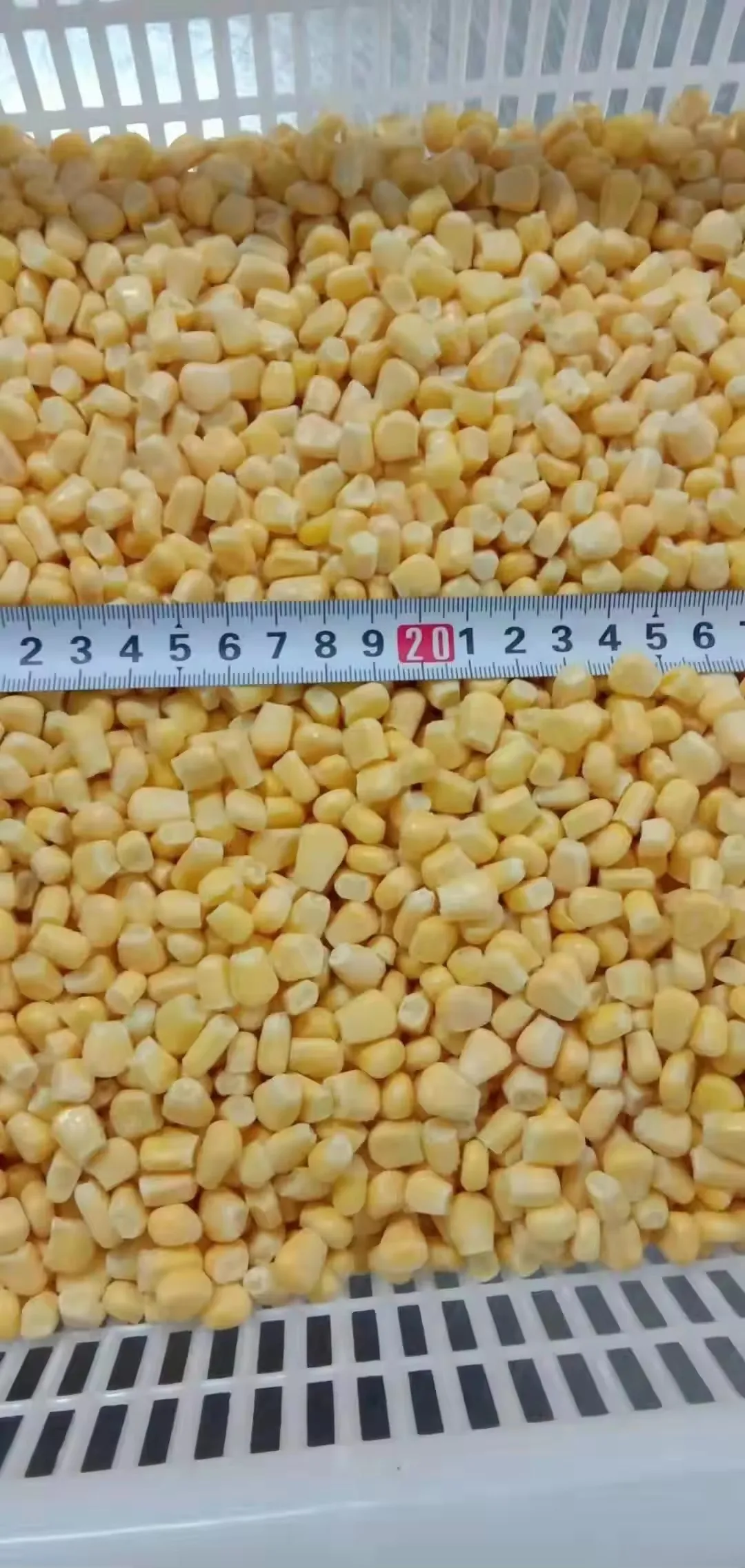 Wholesale Price Iqf Frozen Sweet Corn Frozen Vegetables