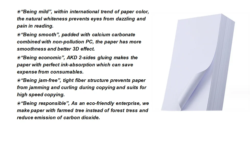 Wholesale Copy Paper A4 Size 80 Gsm 5 Ream/box With Best Price Offer In ...