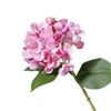 Pink 16
