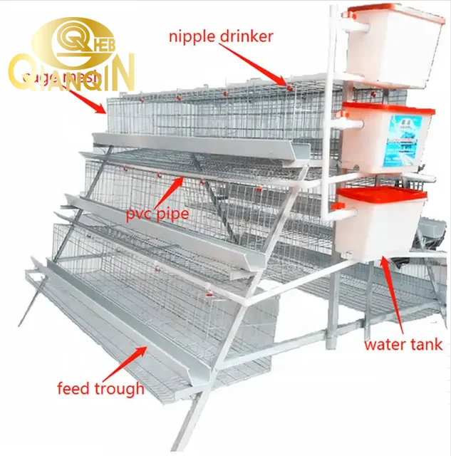 QIANQIN A type galvanized chicken cages  for laying hen poultry cage Chicken Layer Cage Used In Poultry Farm