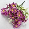 Viola 08