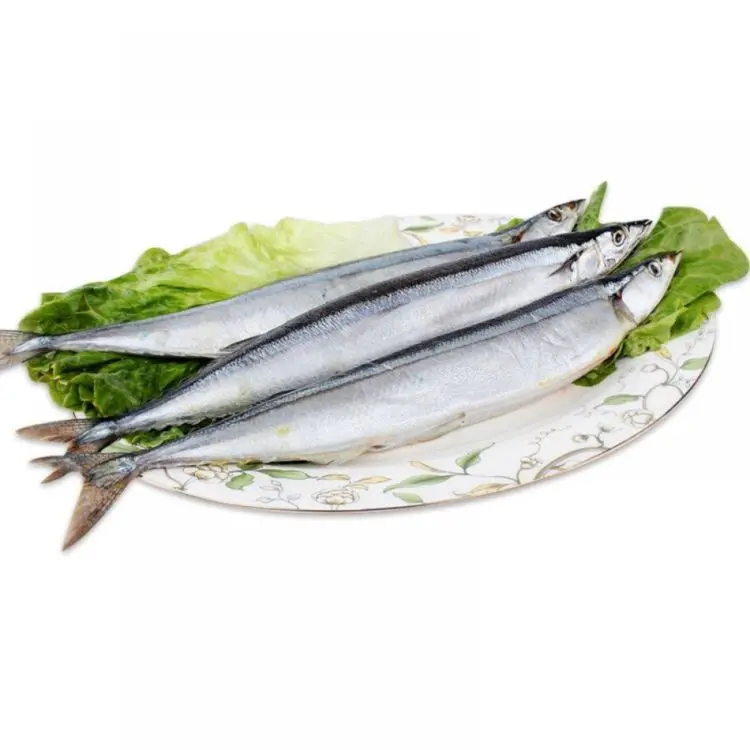 wholesale factory price food sea board frozen pacific saury