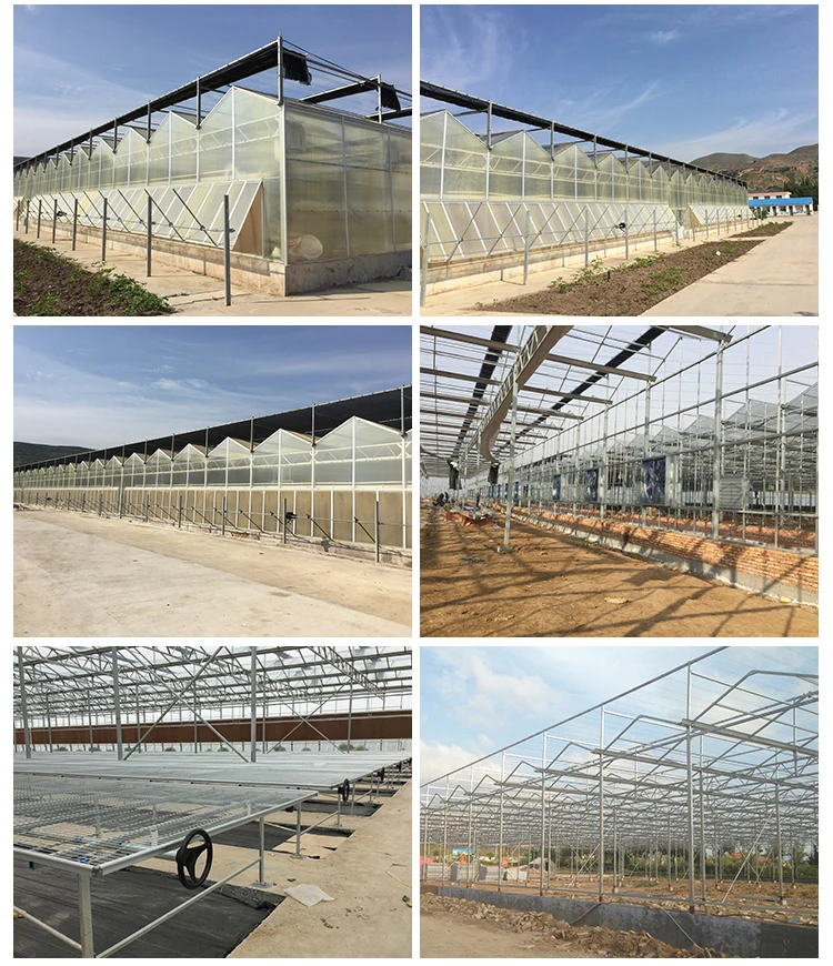 High Quality Commercial Polycarbonate Greenhouse For Sale Buy