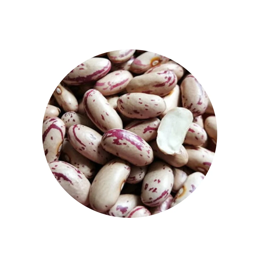 hot selling lskb light speckled kidney beans sugar bean
