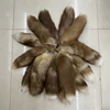 Renard café naturel