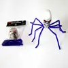 araña morada