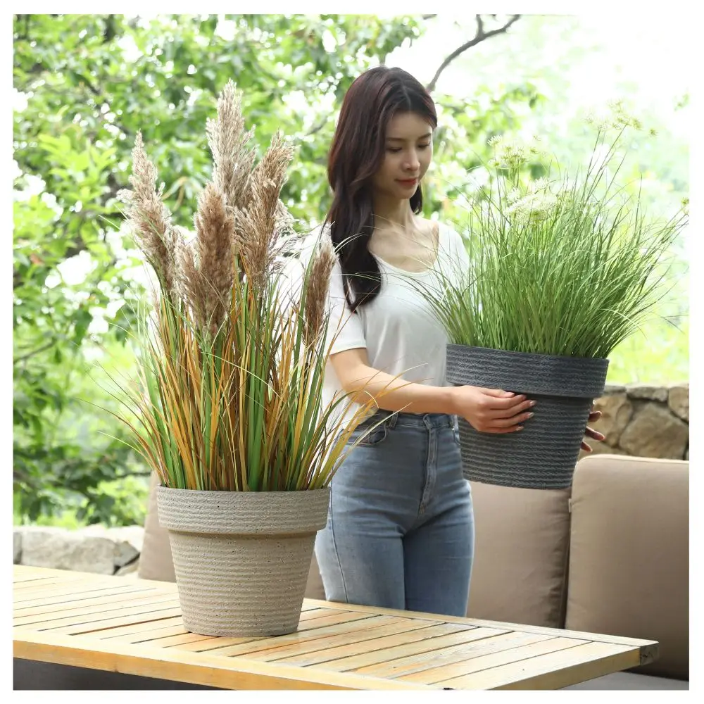 Coltivazione Di Piante Sempreverdi: Informazioni Sulle Erbe Perenni Per - Foto 7