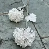 2 snowballs white